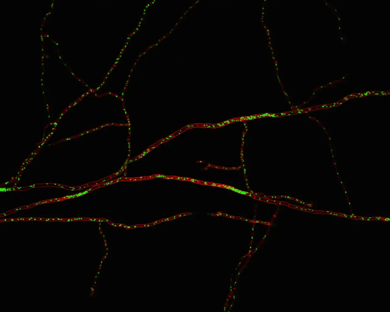 this aint kansas baby