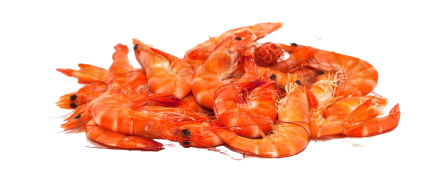 SHRIMP