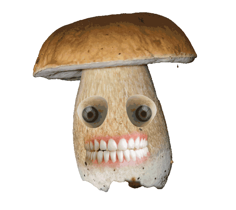 idek what this is bro its 1 am im tired leave me alone